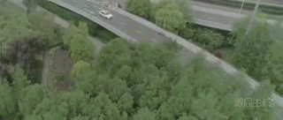 normal video1.gif