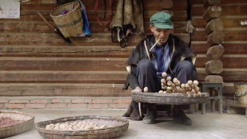 云南三臺(tái)鄉(xiāng)核桃杭州形象宣傳片