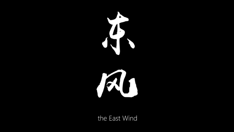 泰康-東風(fēng)